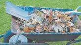 Wheelbarrow applies to Limerick Council to be added to Presidential ticket