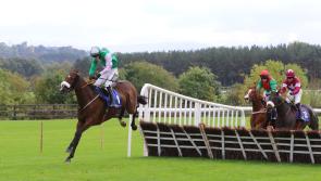 THE PUNTER'S EYE: Punchestown Day 4 (Ladies Day) Tips and Preview 