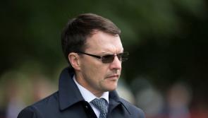 Betting: Anthony van Dyck can rein at Breeders' Cup