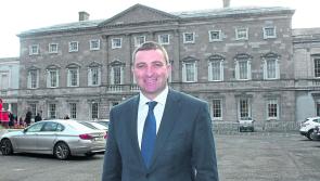 Limerick TD slams &lsquo;scandalous&rsquo; delay of&nbsp;review into&nbsp;handling of child abuse allegations