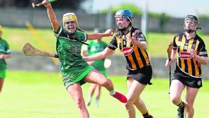 Limerick GAA confirm a hurling and camogie league double-header for the Gaelic Grounds on Sunday