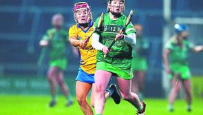 Limerick play Kilkenny in Gaelic Grounds top of the table camogie league tie