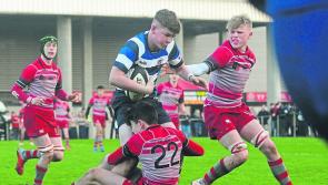 Munster Schools Junior Cup quarter-finals continue
