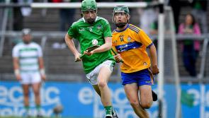 Limerick minors savour Munster glory with eighth title success