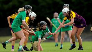 Limerick GAA club left 'extremely concerned and dismayed' after camogie players take ill