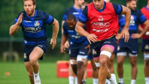 Italian 6 Nations rugby squad prepare for World Cup at UL