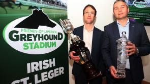Former hurling star makes draw for Irish St Leger in Limerick Greyhound Stadium