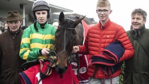 WATCH: Limerick trained and owned Ballyoisin wins &euro;45,000 Grade 2 Fortria Chase
