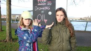 WATCH: 'The consequences will be fatal' - Over 100 protest against climate change in Limerick