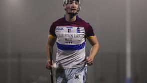 Limerick derby UL v Mary Immaculate in Fitzgibbon Cup quarter final this Wednesday