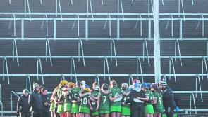 Joint-captains confirmed for Limerick camogie in 2020 season