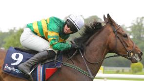 Winner alright for Limerick racing enthusiasts