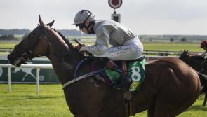 Winners alright as Limerick jockeys continue successful spell