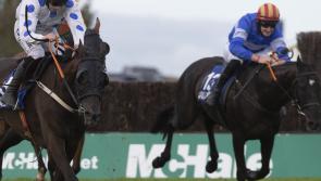 Winners alright for Limerick racing enthusiasts