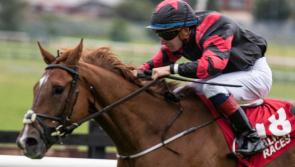Moyross jockey Wesley Joyce's big Galway win tops bill of Limerick successes