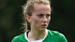 Limerick players in Rep of Ireland U19 squad for Limerick training camps