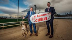 Free entry as Limerick Greyhound Stadium honours 'incredible effort to fight' Covid-19