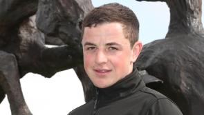 WATCH: Local jockey's toast of punters at Limerick Christmas Racing Festival