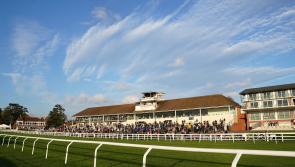 Lingfield fit for racing after passing precautionary inspection