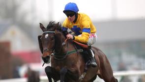 Archie Watson dreaming of Cheltenham Festival glory