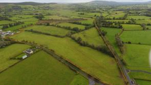 Forty acres of Limerick land guided at &euro;260k ahead of online auction