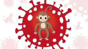No plans for Monkeypox unit at University Hospital Limerick following first local cases
