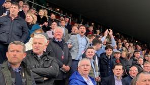 PICTURES: More out and about among the crowds at Day 3 of Punchestown 2023