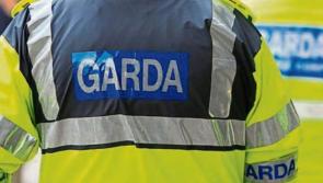 Three man arrested after burglary in Westmeath