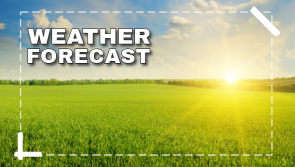 The Met Éireann weather forecast for the first week in September is here