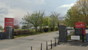 How to get to Punchestown 2024 - Full Garda traffic plan and routes