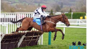 All eyes on Willie Mullins' brilliant Blackburn at Punchestown