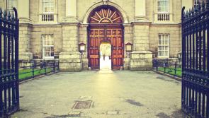 Students at Ireland's top university protest by blocking famous tourist attraction