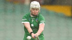 Limerick camogie side primed for Kilkenny championship test
