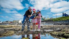 Limerick pupils win eco field trip to Lahinch for beach exploration workshop