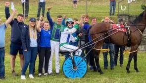Limerick hurling star Kyle Hayes gets pre Croke Park boost with harness racing victory