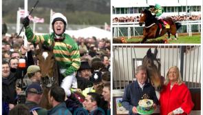WATCH: Relive Istabraq's magical and memorable moments following death of legendary racehorse