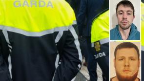 Separate search appeals launched as two men reported missing in Dublin area