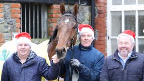 Eric McNamara eyes 40th anniversary winner as Limerick Christmas Racing Festival is launched