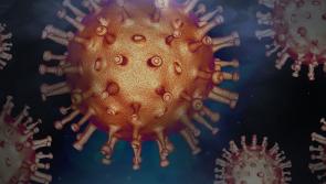 ALERT: Illness warning as almost 1,000 people hospitalised in Ireland over Christmas