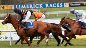 Local successes on final day of Limerick Christmas Racing Festival