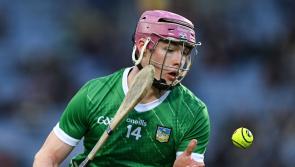 Shane O'Brien: &lsquo;Aaron  Gillane was collecting my journal when I was in first year&rsquo;