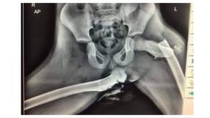 Garda&iacute; share bone-chilling warning of risk sitting this way in a car