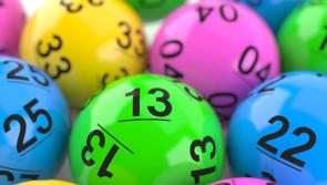 Irish EuroMillions winner had to swear on dog's life for partner to believe €500k windfall