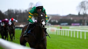 Cheltenham Tips 2025: Cheat sheet for Day 1 on Tuesday including 40/1 shot