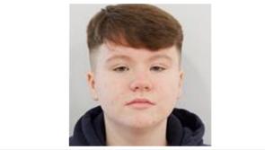 Garda&iacute; in urgent appeal for information on missing 13-year-old girl