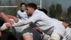 Thomond RFC target return to All-Ireland League ranks