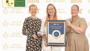 Emerging entrepreneur of the year award for Limerick educator