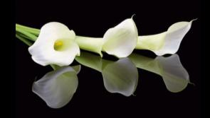 RIP: Limerick deaths and funeral details, Thursday, July 31