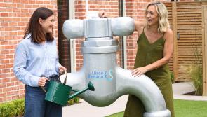 Water tankering in Limerick village as Uisce Éireann issues conservation appeal
