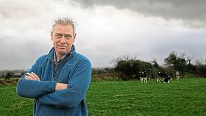 Farming association in bullish mood on milk and beef prices in Limerick